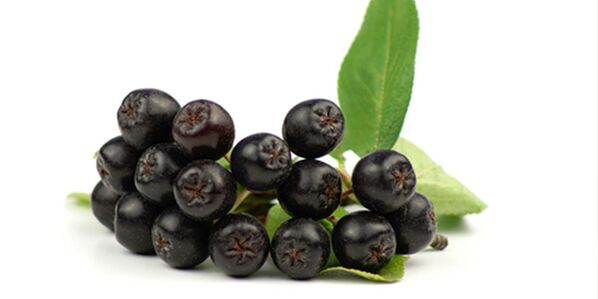 Frutos de cinzas de montanha negra úteis para diabetes